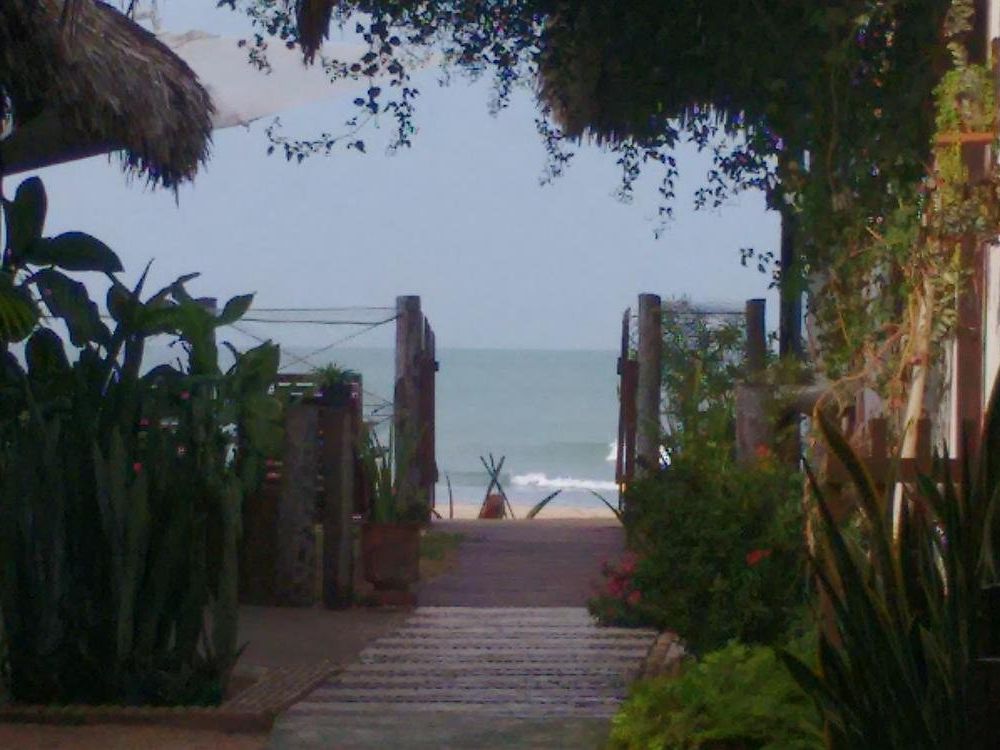 Outdoor Pictures 7