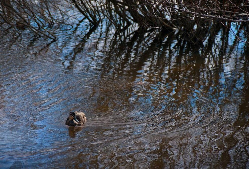 Outdoor Pictures 15