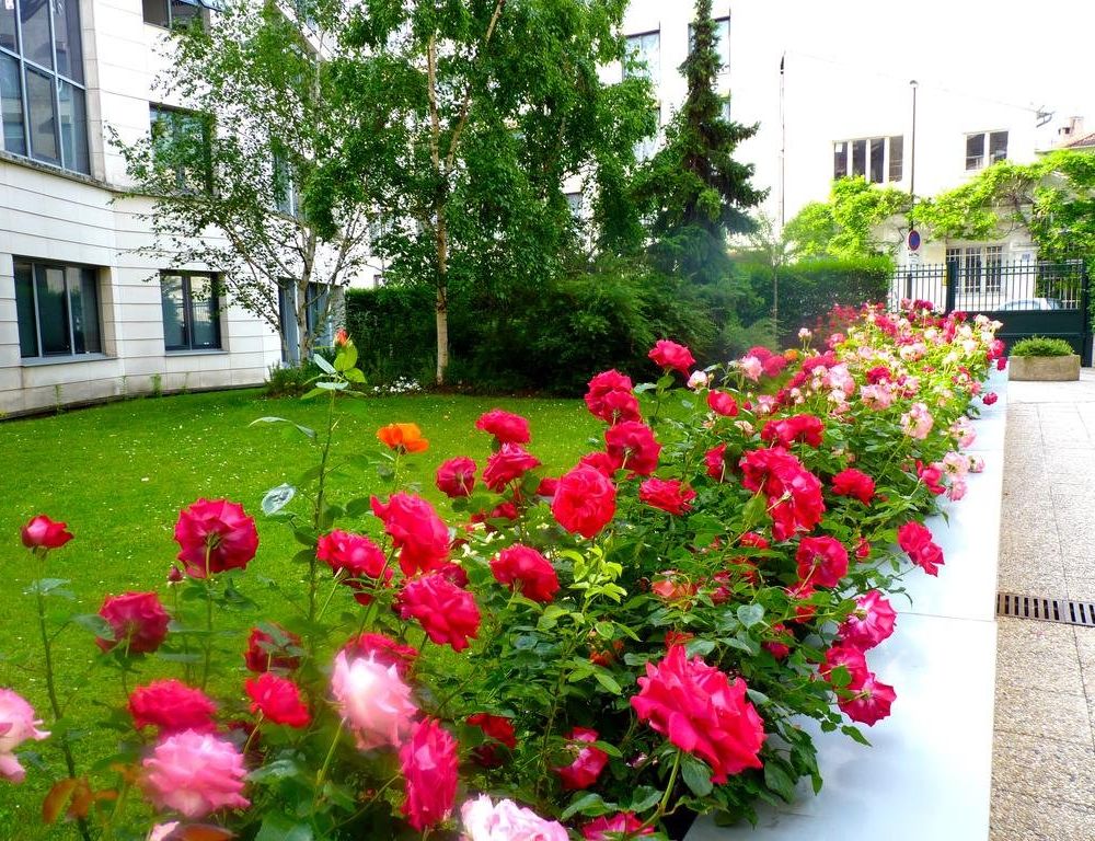 Outdoor Pictures 22