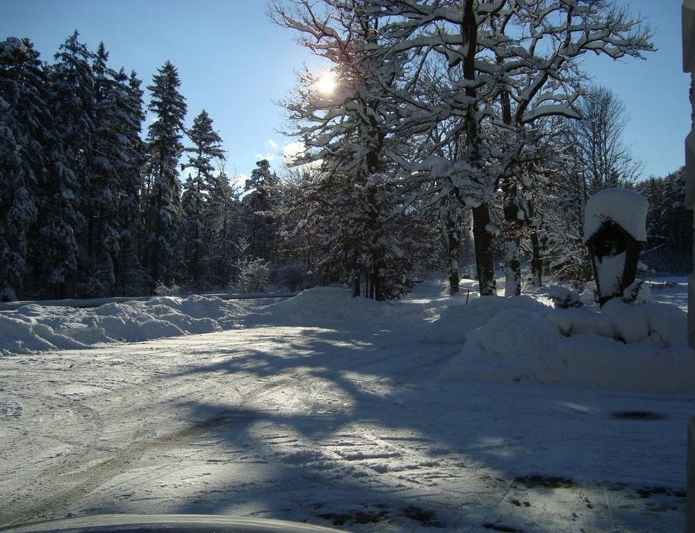 Outdoor Pictures 23