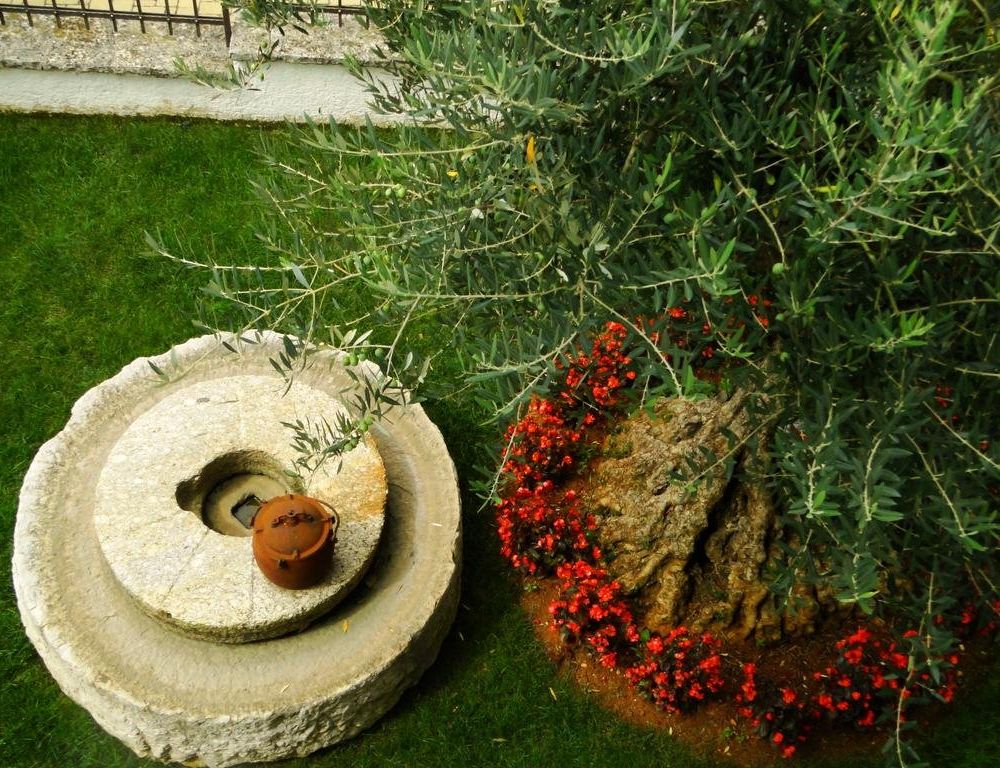 Outdoor Pictures 20