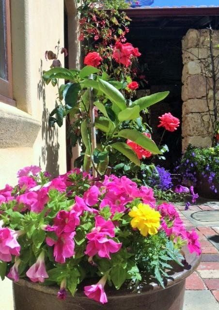 Outdoor Pictures 15