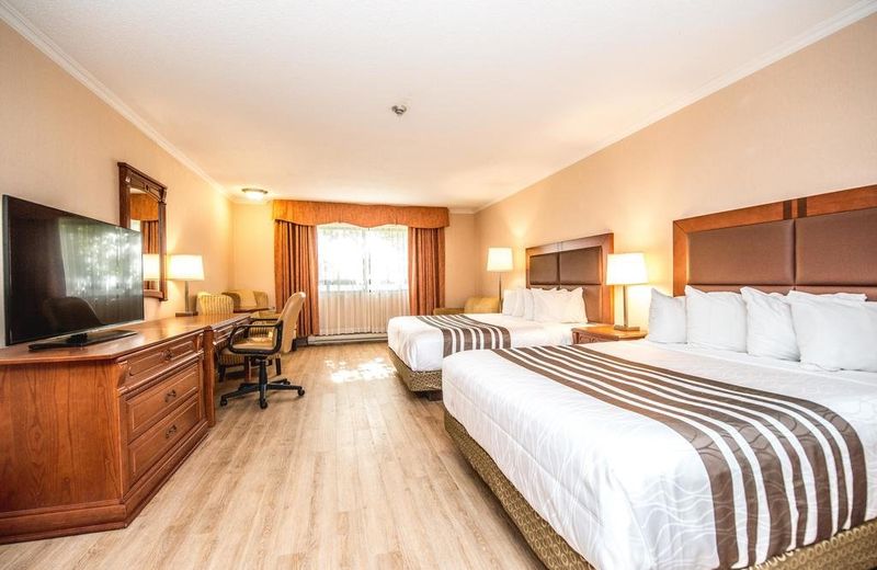 Best Western Plus Ottawa City Centre