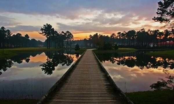 Outdoor Pictures 20