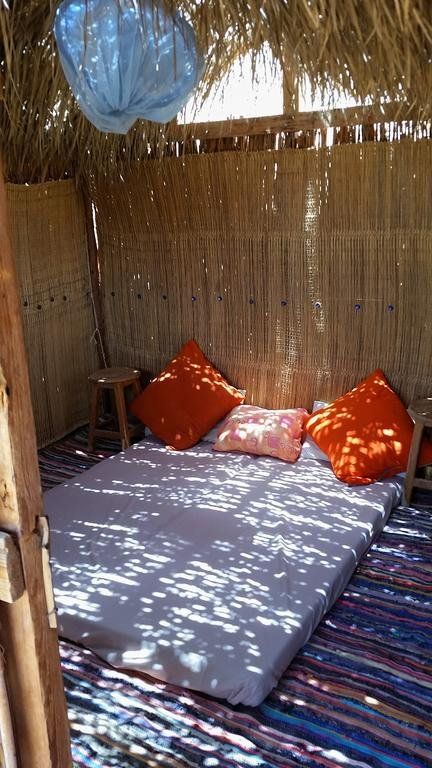 Outdoor Pictures 6