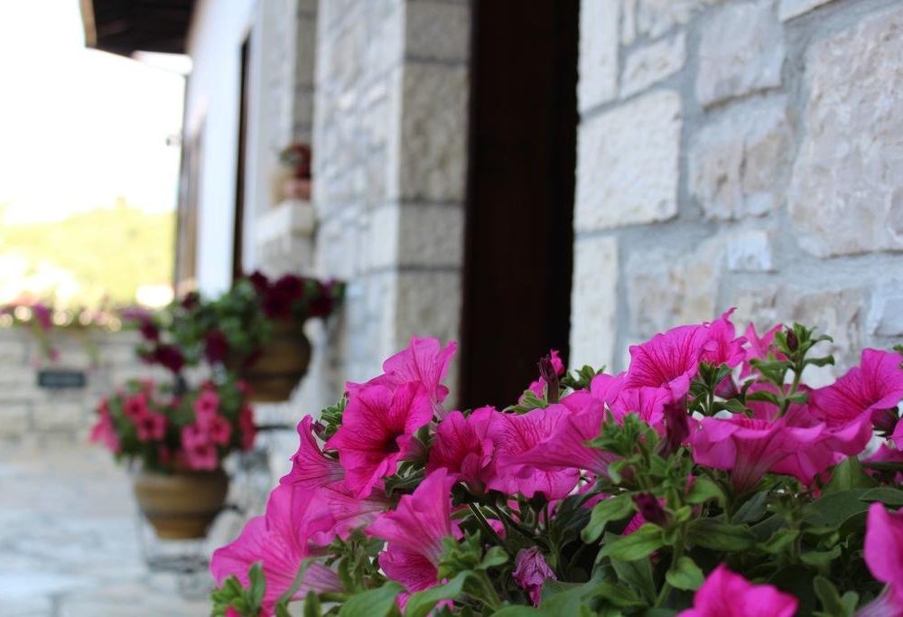 Outdoor Pictures 16