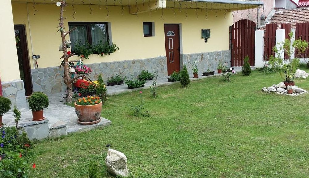 Outdoor Pictures 24