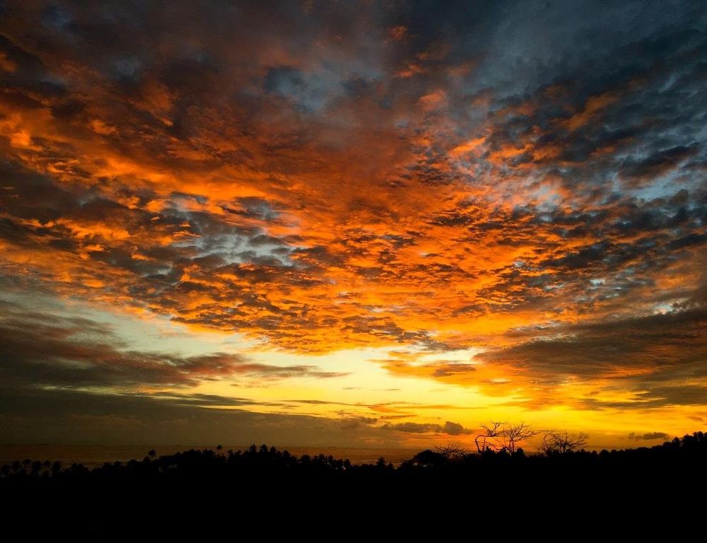 Outdoor Pictures 20