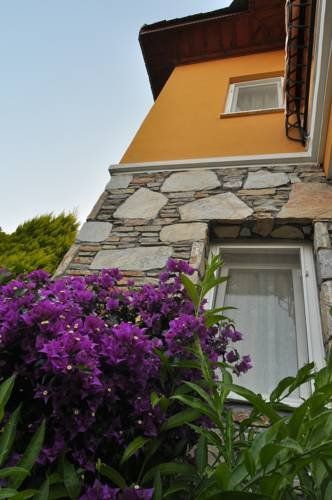 Outdoor Pictures 15