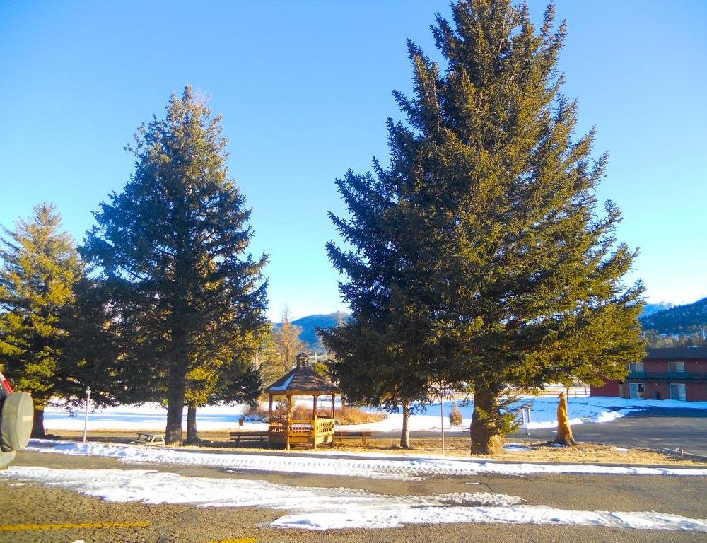 Outdoor Pictures 14