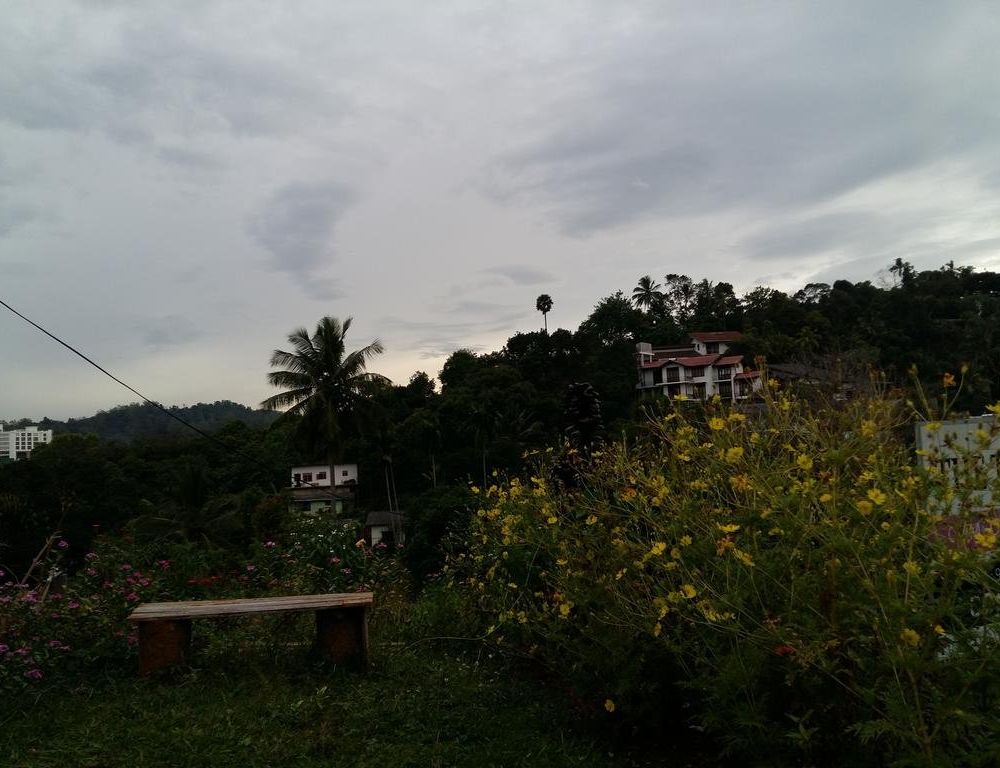 Outdoor Pictures 18