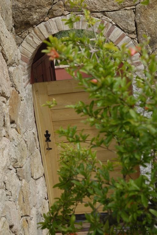 Outdoor Pictures 14