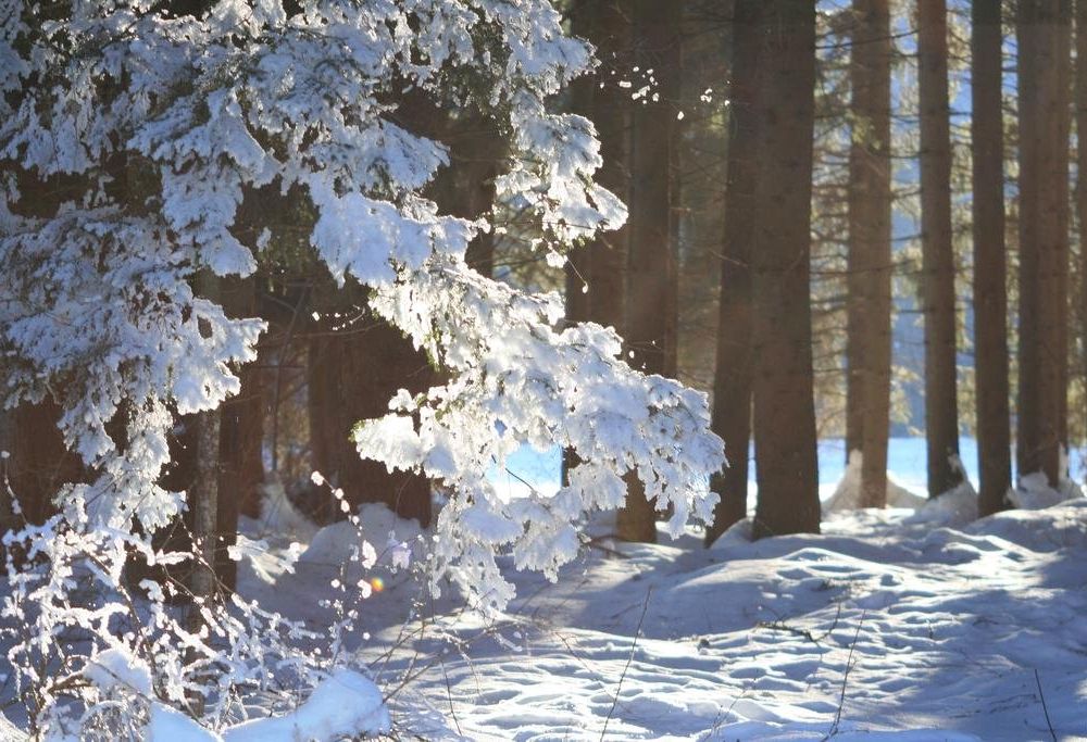 Outdoor Pictures 22