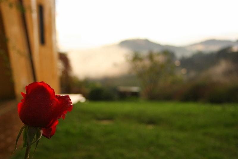 Outdoor Pictures 10