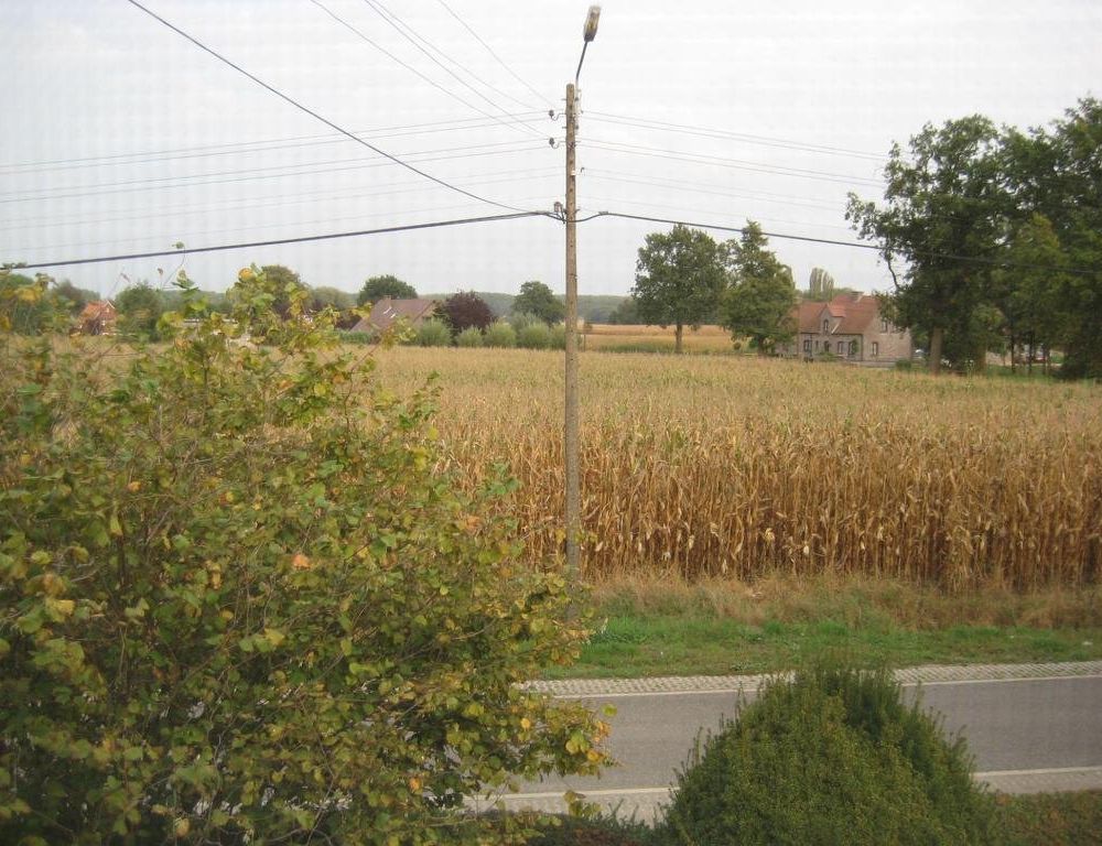 Outdoor Pictures 12