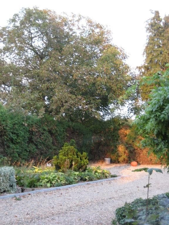 Outdoor Pictures 13