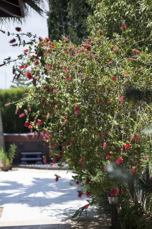 Outdoor Pictures 18