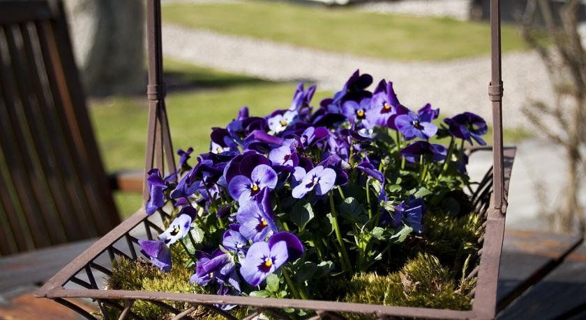 Outdoor Pictures 21