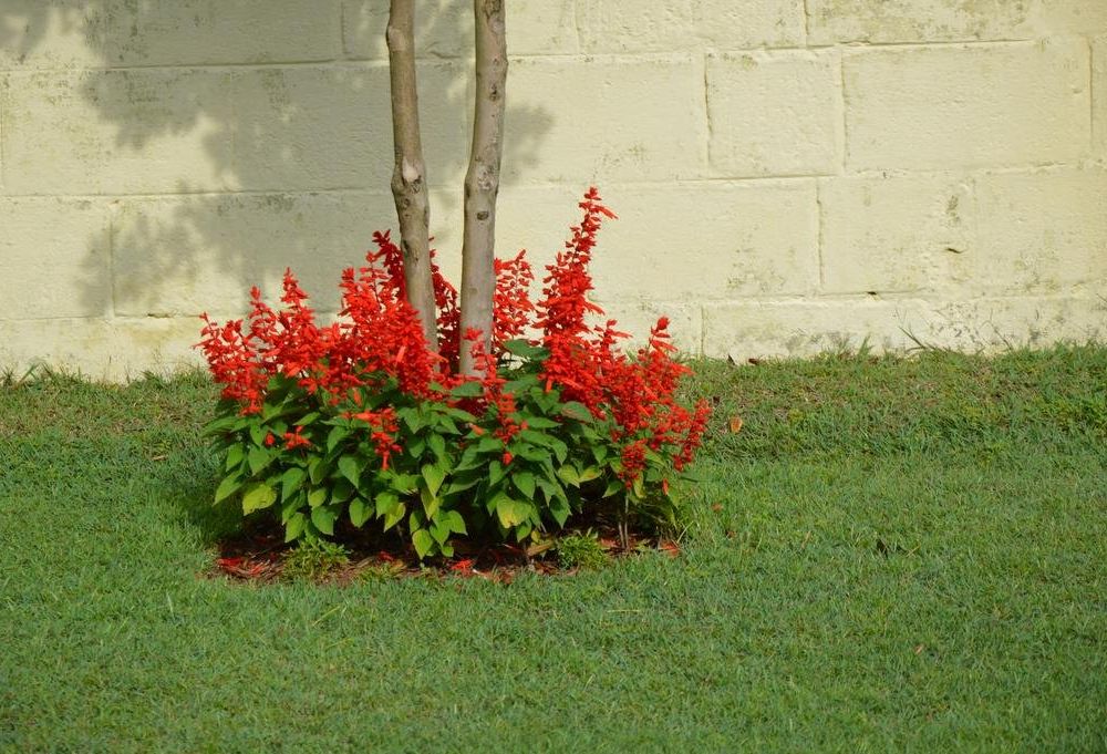 Outdoor Pictures 12