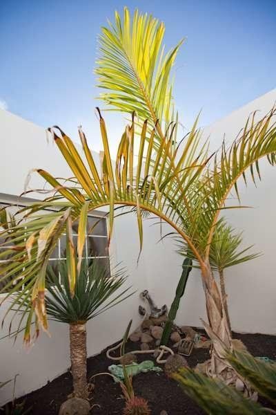 Outdoor Pictures 10