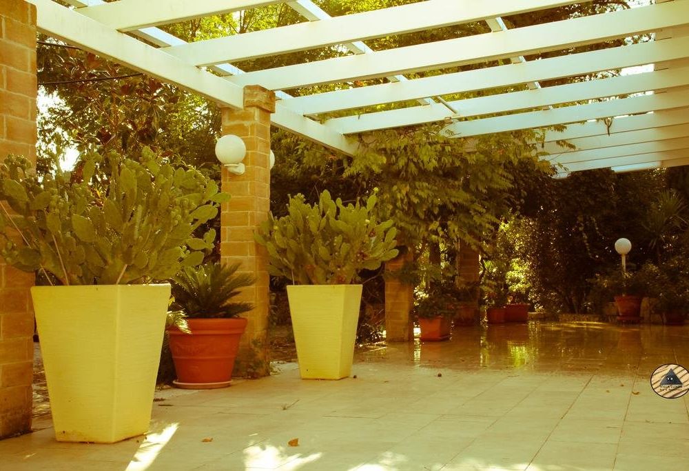 Outdoor Pictures 2