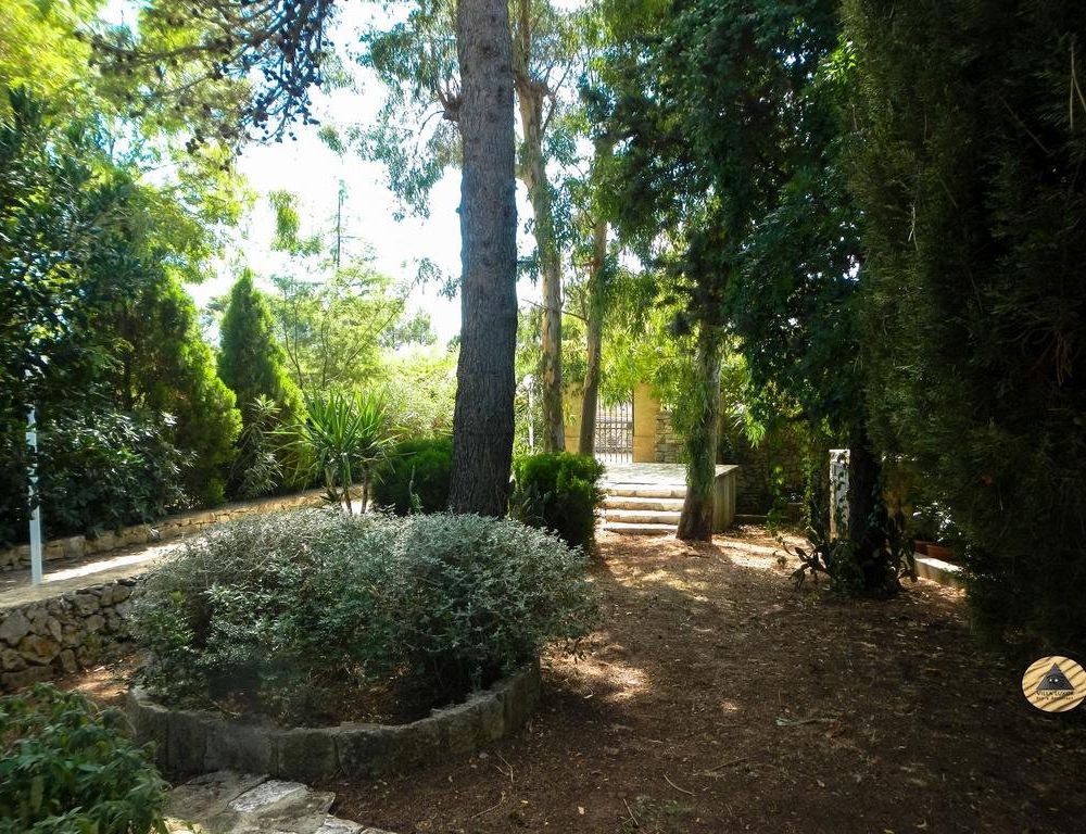 Outdoor Pictures 6