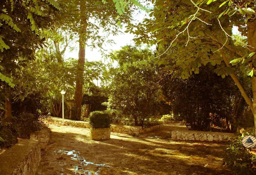 Outdoor Pictures 7