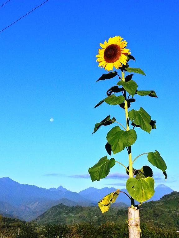 Outdoor Pictures 22