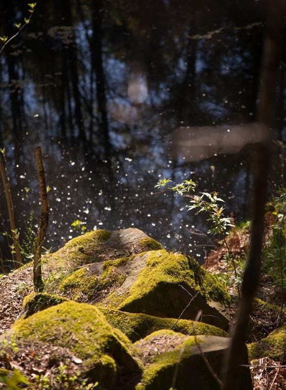 Outdoor Pictures 8