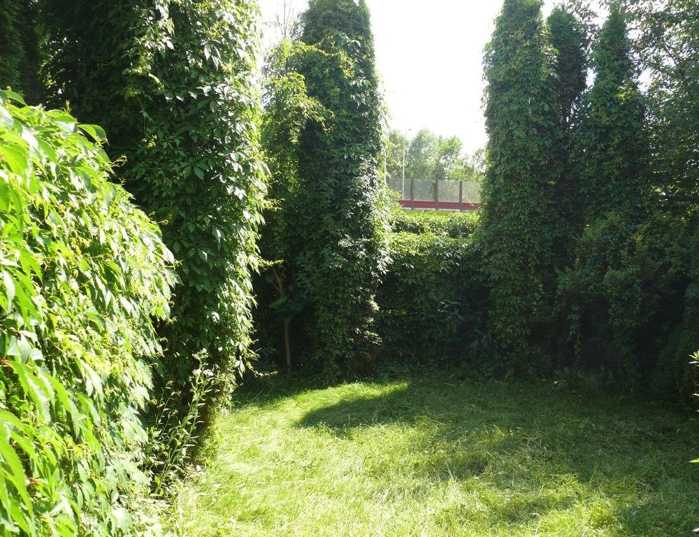 Outdoor Pictures 9