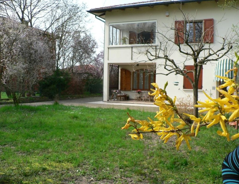 Outdoor Pictures 12