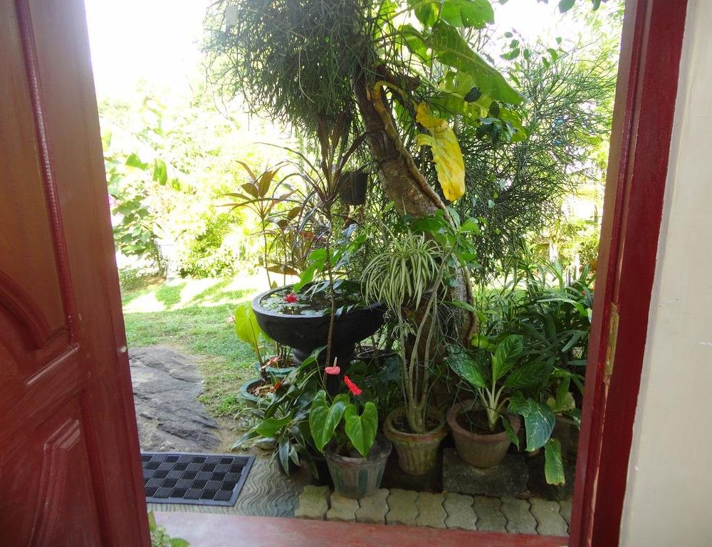 Outdoor Pictures 22
