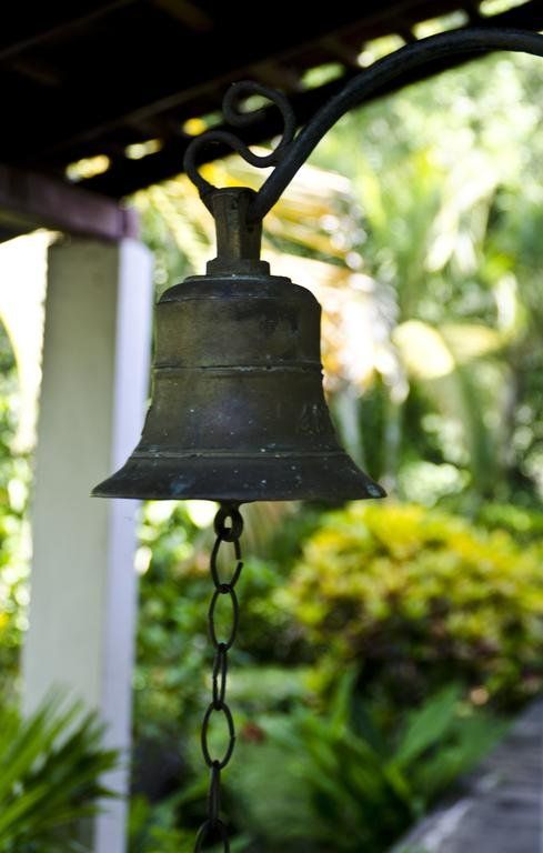 Outdoor Pictures 21