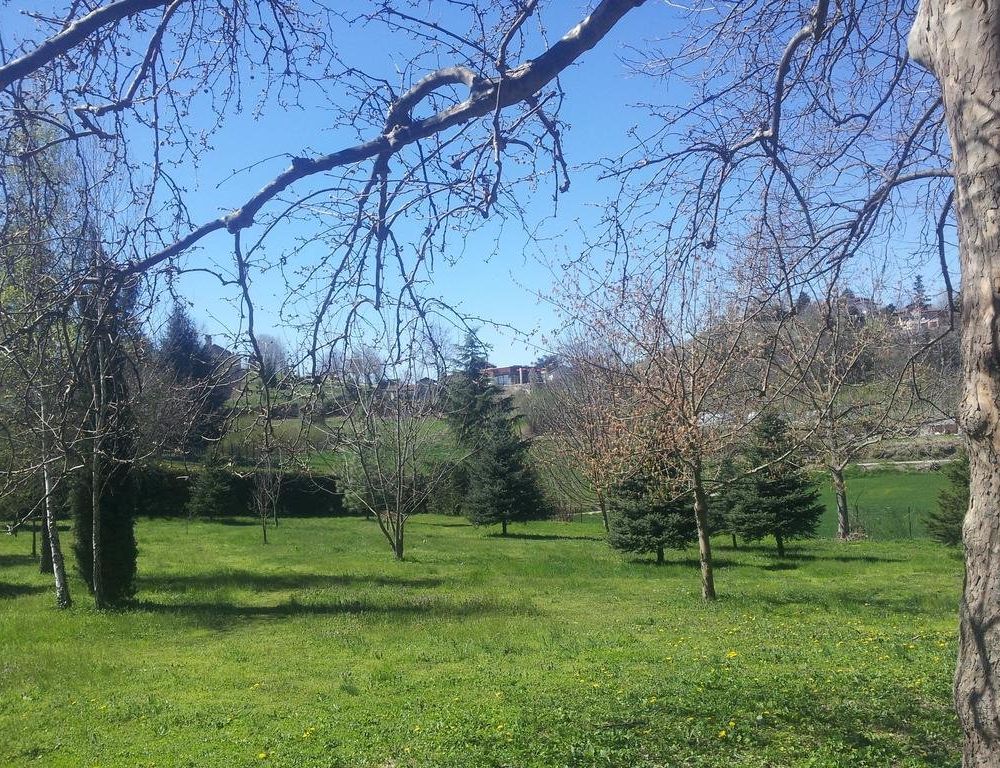 Outdoor Pictures 19