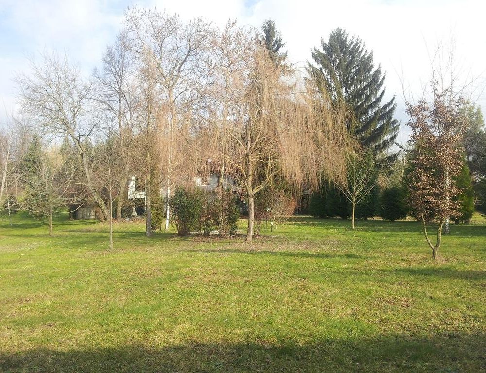 Outdoor Pictures 18