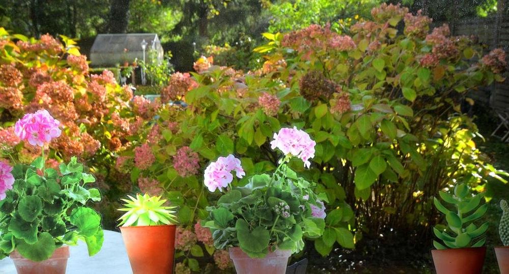Outdoor Pictures 24