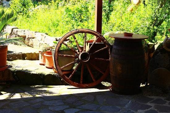 Outdoor Pictures 20