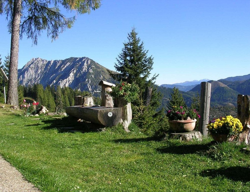 Outdoor Pictures 17