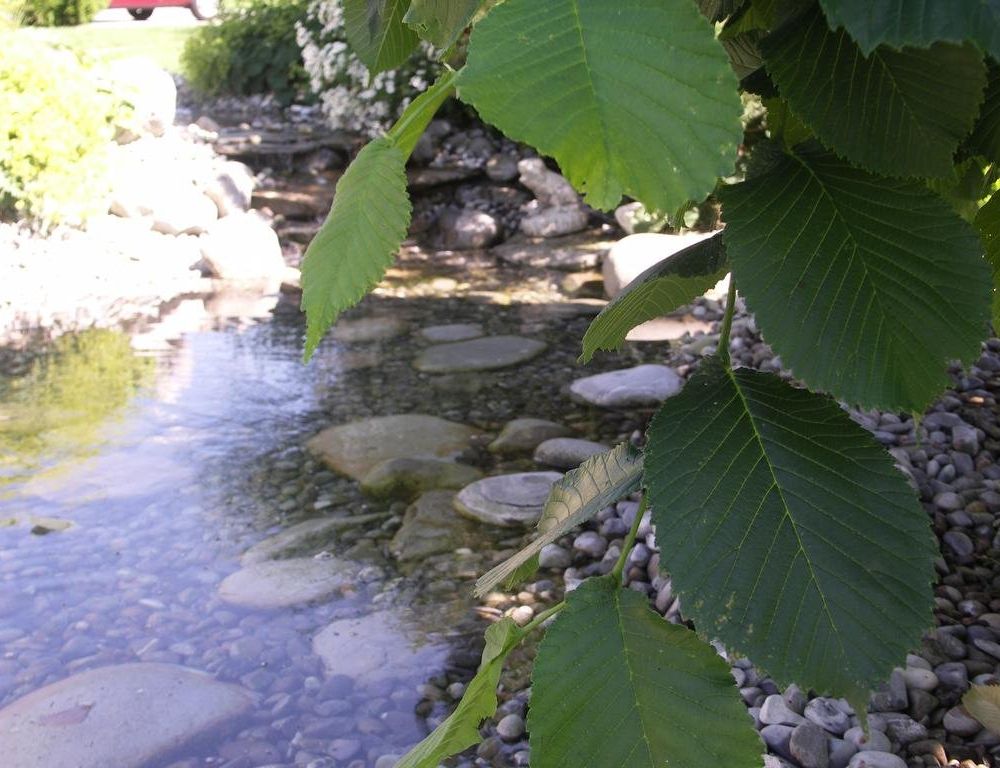 Outdoor Pictures 9