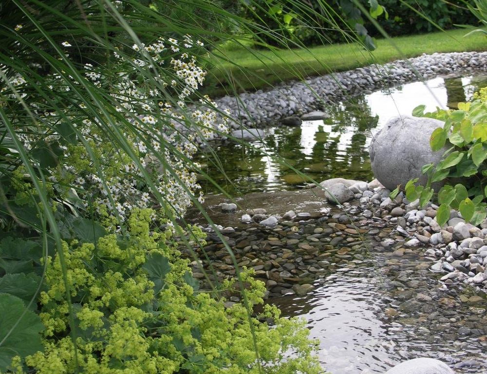 Outdoor Pictures 10