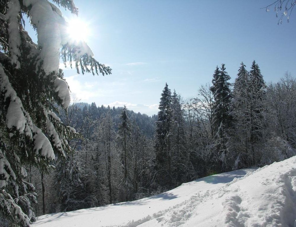 Outdoor Pictures 7