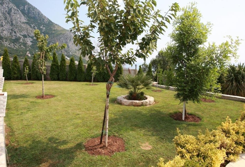 Outdoor Pictures 17