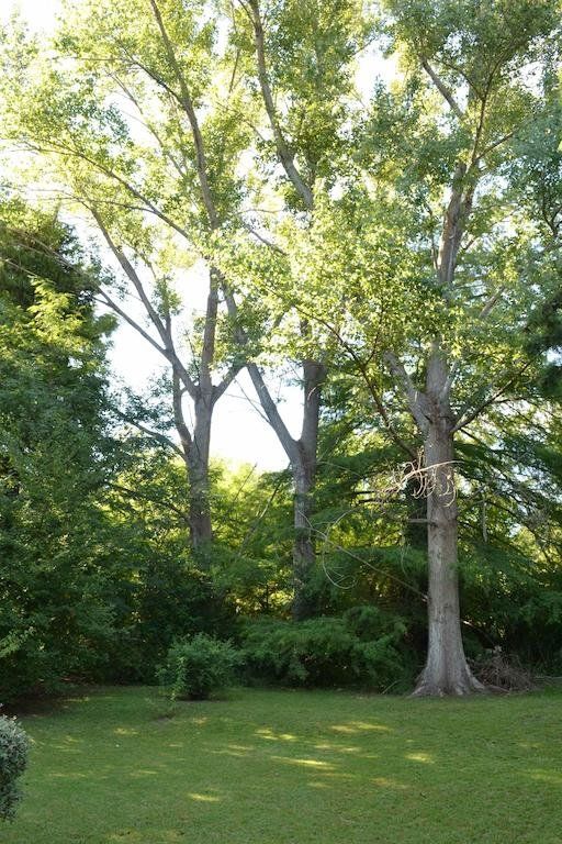 Outdoor Pictures 18