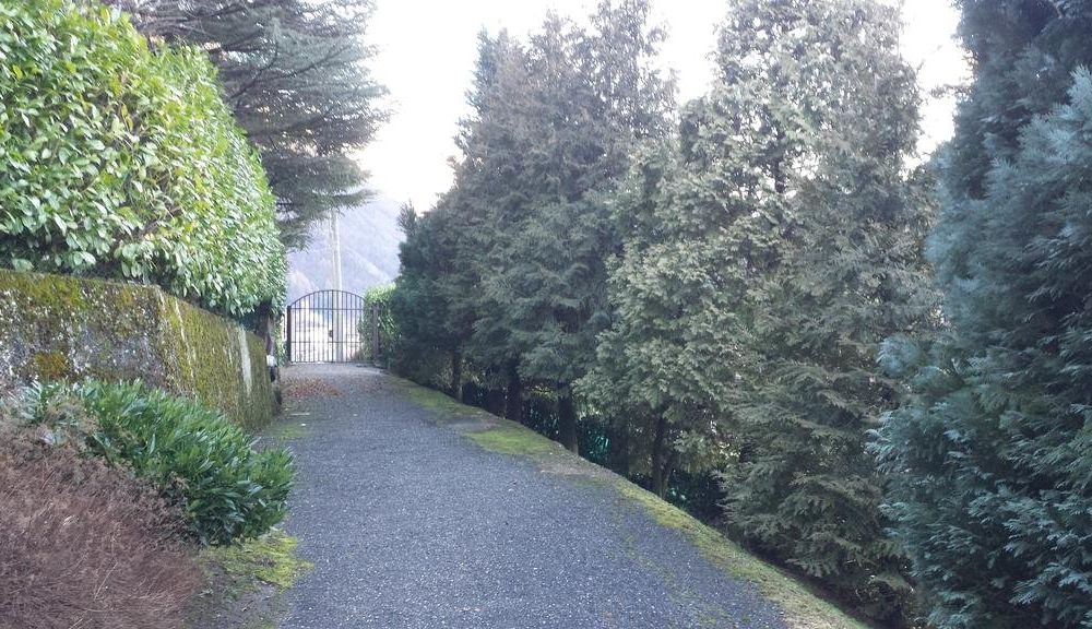 Outdoor Pictures 19