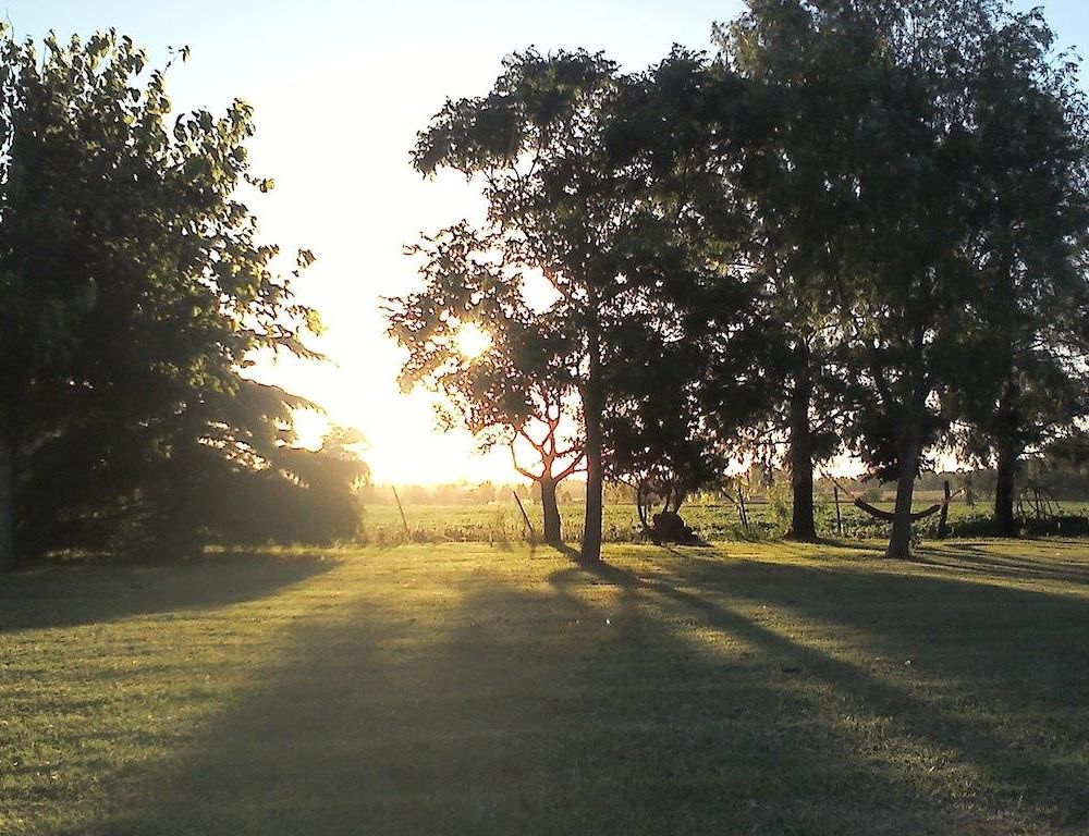 Outdoor Pictures 17