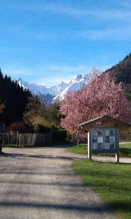 Outdoor Pictures 8