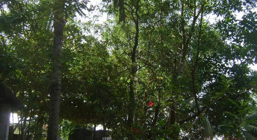 Outdoor Pictures 13