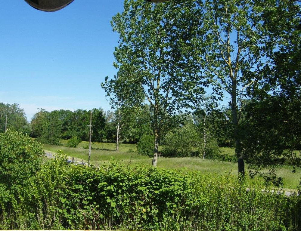 Outdoor Pictures 15