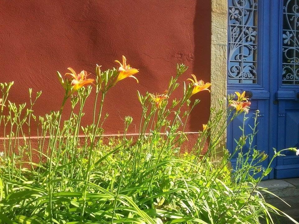 Outdoor Pictures 15