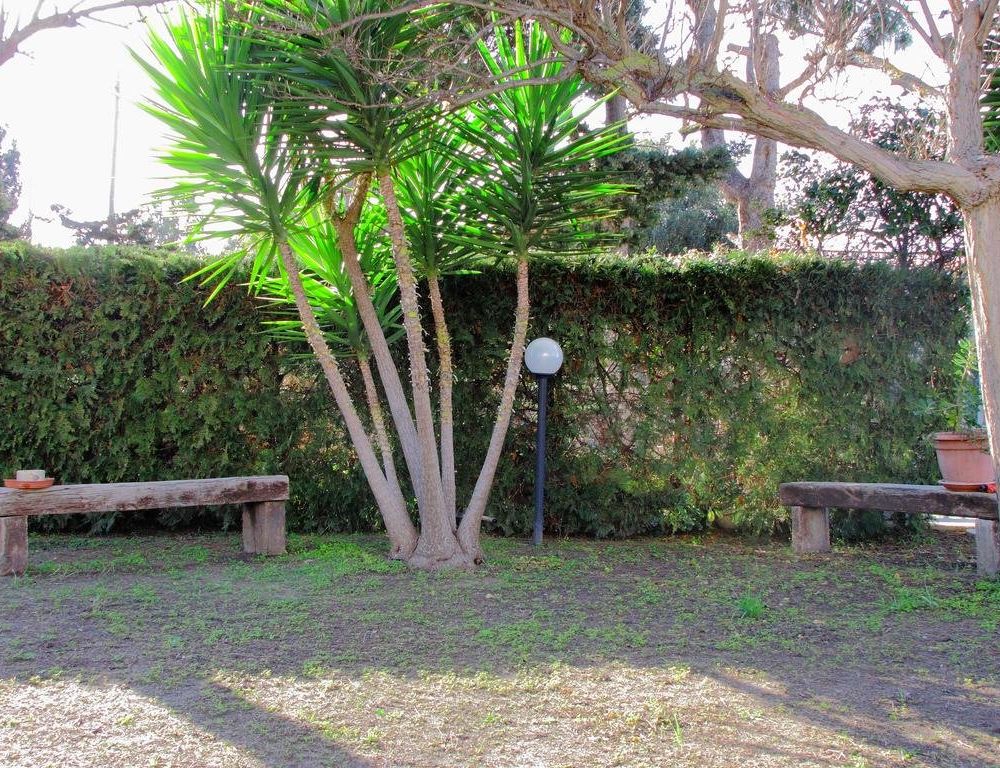 Outdoor Pictures 10